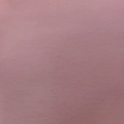 Grå Syren 1-230 Äggoljetempera