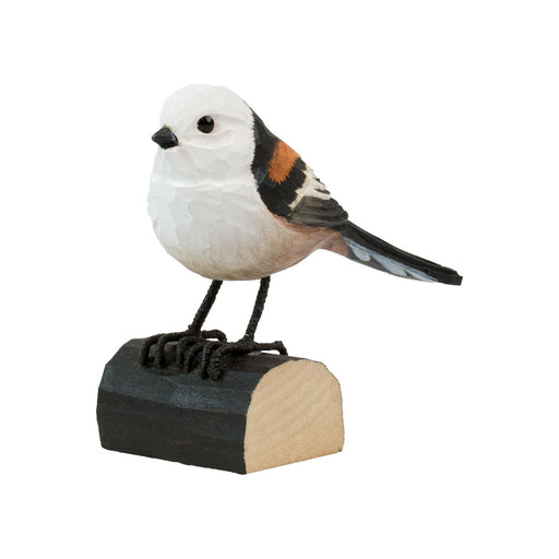 DecoBird Stjartmes