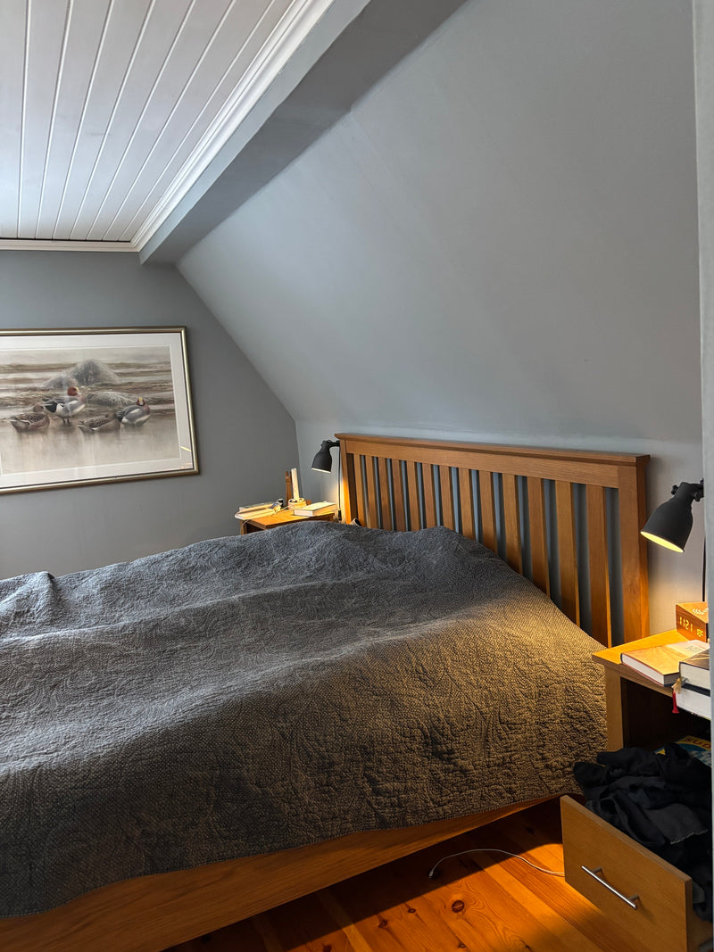 Nedtonad Sinnerstensblå