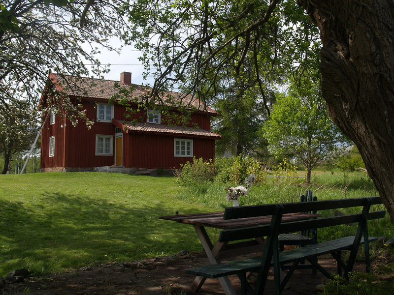 Grön Umbra nr 30 Linoljefärg från Engwall o. Claesson | Ovolin™