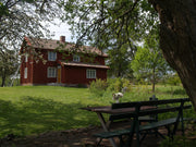 Grön Umbra nr 30 Ute Linoljefärg