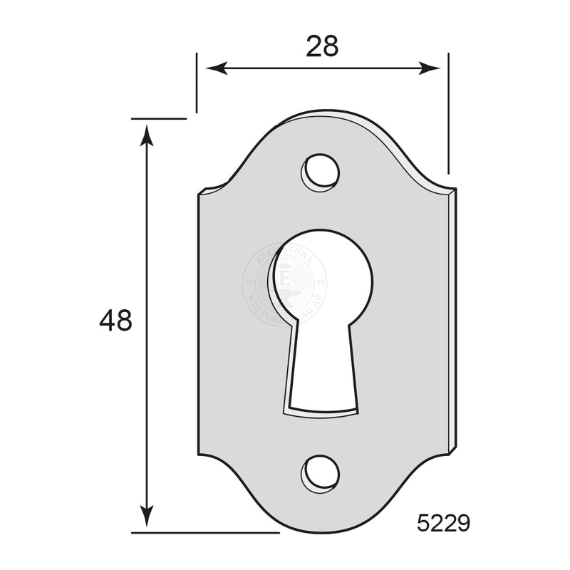 Key tag Convex 5229
