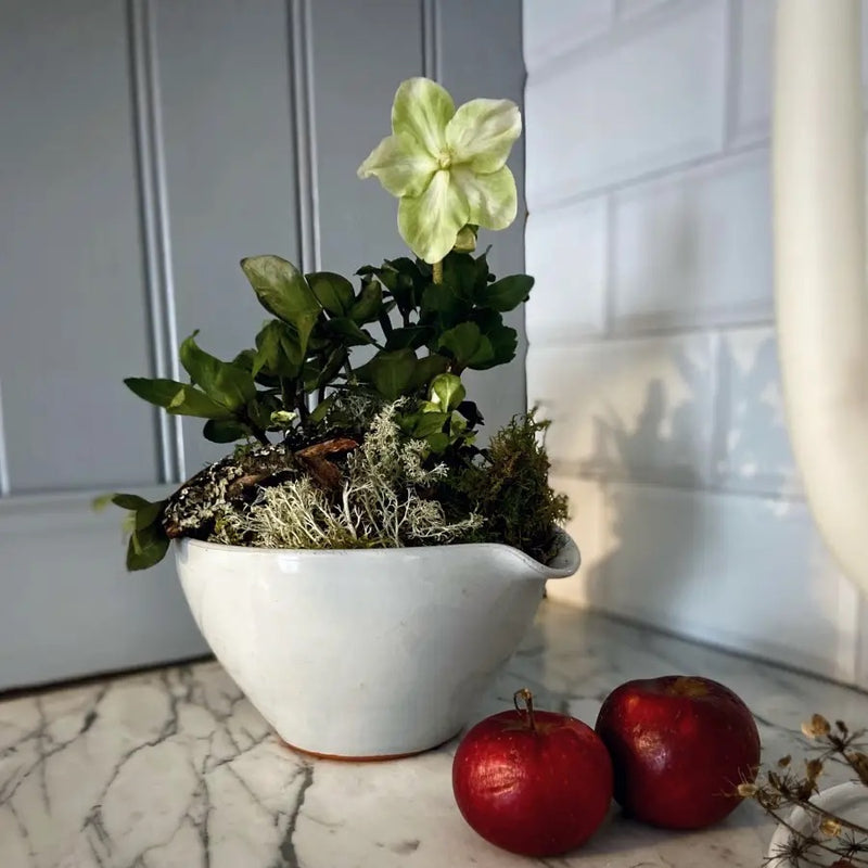 Bac de rétention blanc