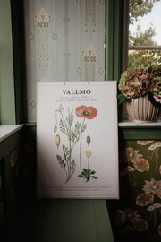 Skolplansch Vallmo - Ovolin